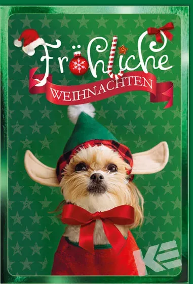 Kurt Eulzer 22-1087 kerstkaart hond met muts reliëf