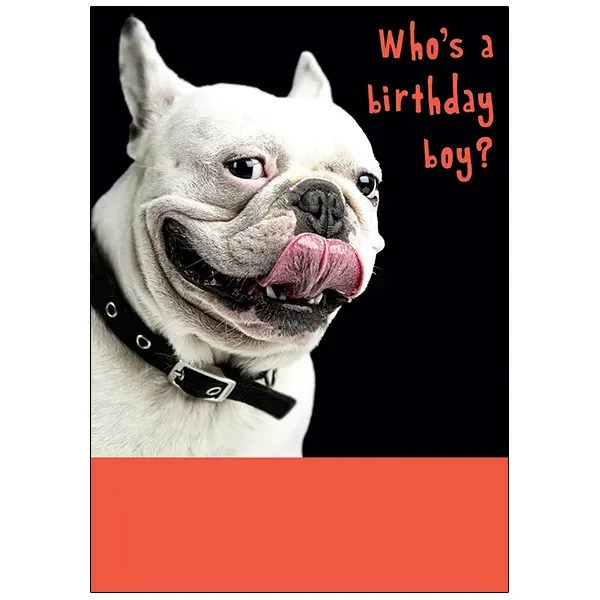 Sellers Publishing Birthday B7224D verjaardagskaart voor hem