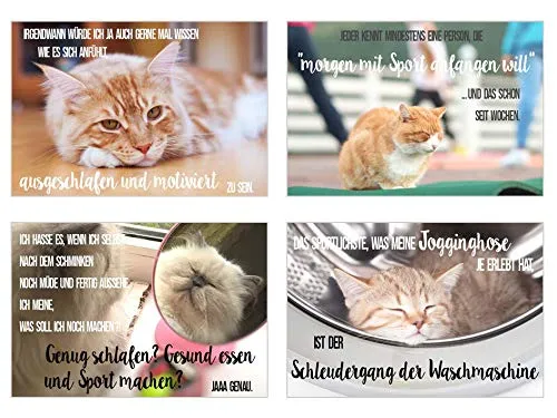 Edition Seidel katten postkaarten 40 stuks met spreuk humor