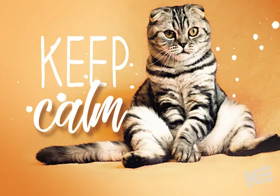 Kurt Eulzer 30-2385 ansichtkaart kat Keep Calm 3D