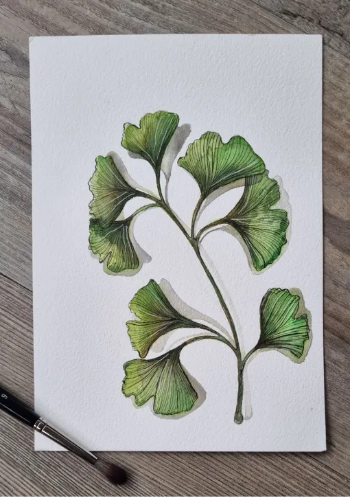 Blad & Beeld Ginkgo aquarel groen
