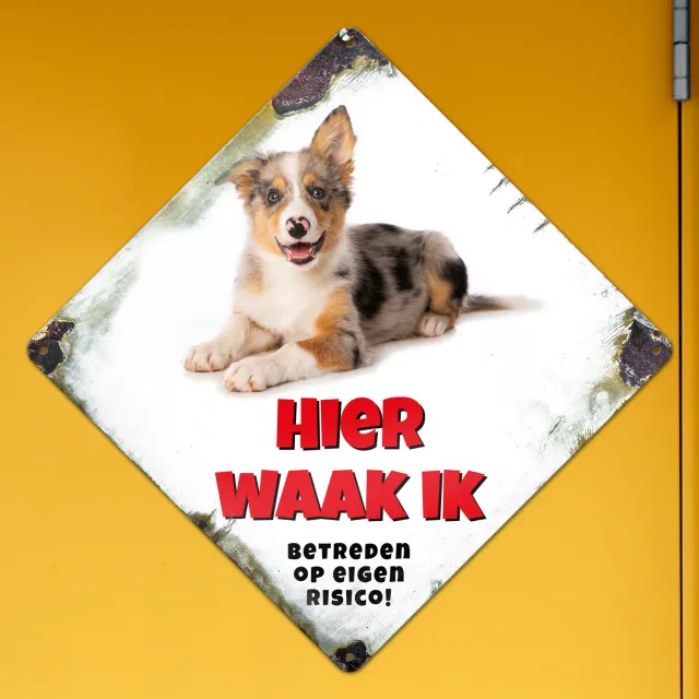 Gozi Hond metalen bord 30x30cm ruit persoonlijk