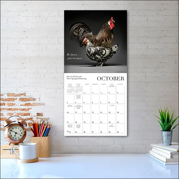 Sellers Publishing Glamour Chicks 2027 wandkalender kippen