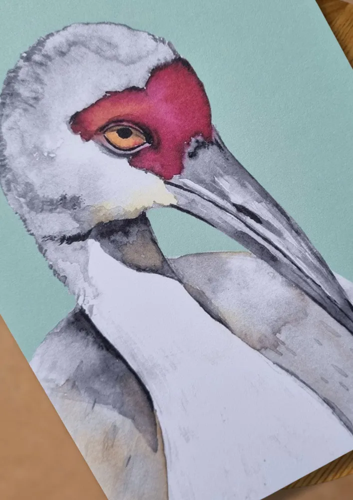 Blad & Beeld Kraanvogel kaart natuurillustratie