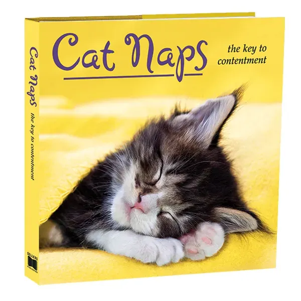 Sellers Publishing Cat Naps poezenboek dutjes citaten