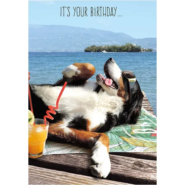 Sellers Publishing Birthday B4068D wenskaarten 6 stuks humor