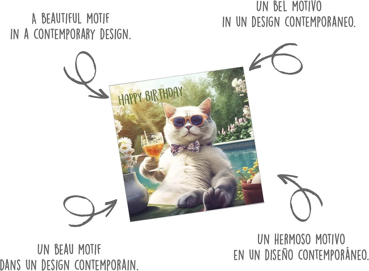 Edition Seidel Premium GQ119 verjaardagskaart kat vierkant humor