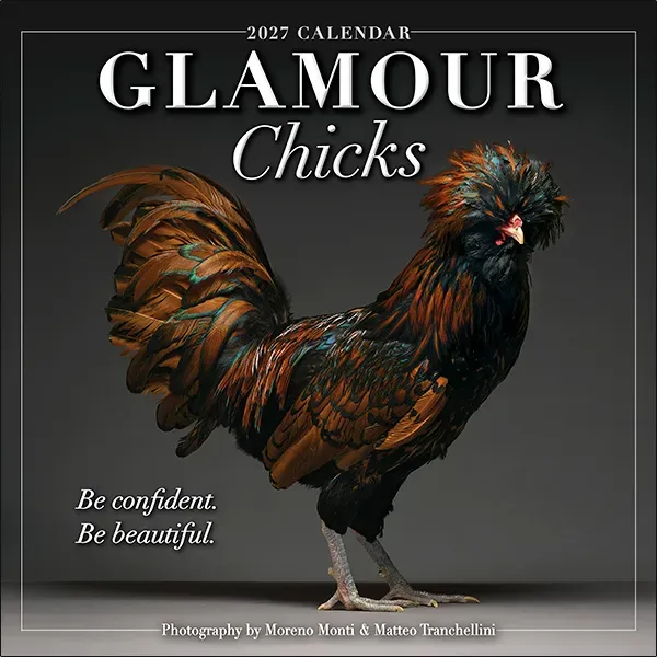 Sellers Publishing Glamour Chicks 2027 wandkalender kippen