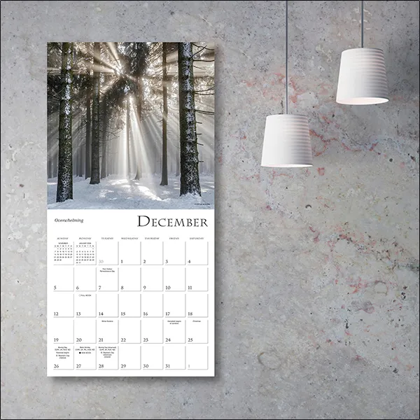 Sellers Publishing Enchanted Pathways 2027 wandkalender bos