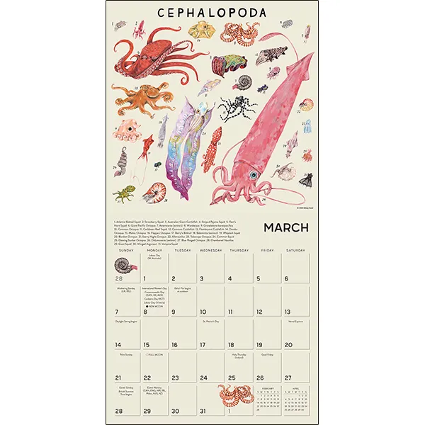 Sellers Publishing Illustrated Animal Kingdom 2027 wandkalender