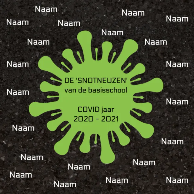 Gozi Groep 8 Snotneuzen stoeptegel afscheid